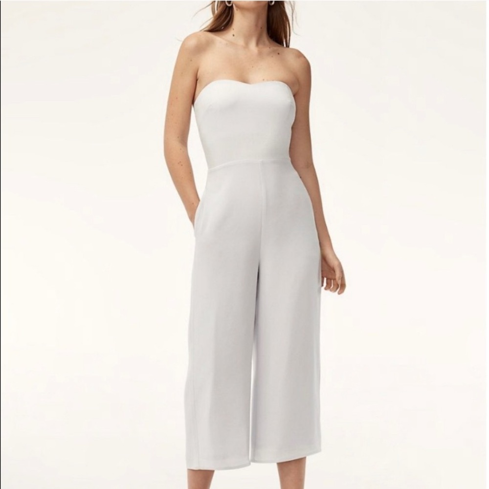 Aritzia Babaton Roshan Wide legged Jumpsuit